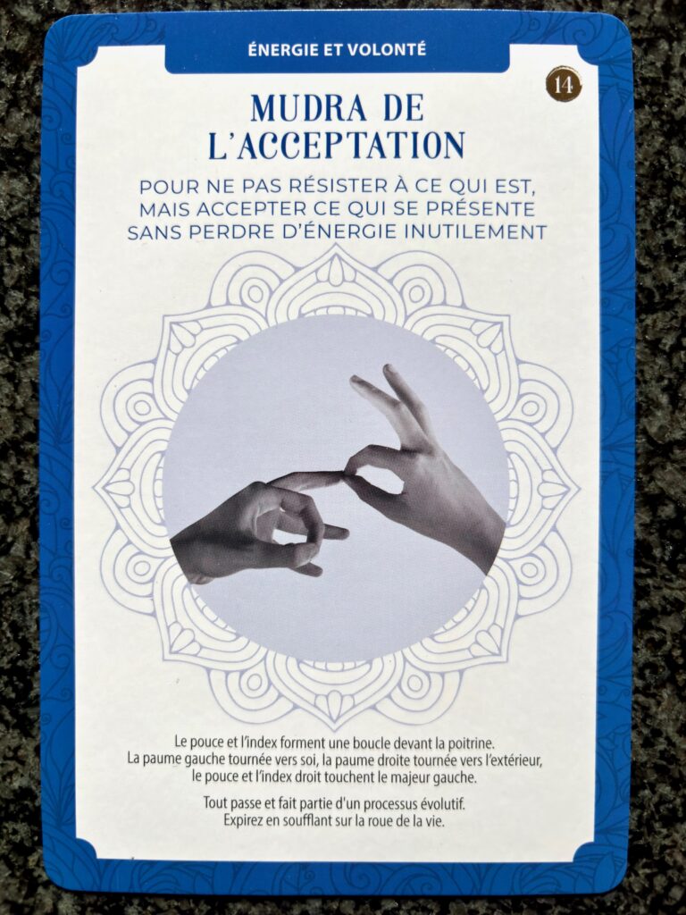 mudra de l'acceptation